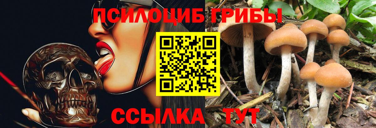 Галлюциногенные грибы мицелий Александров