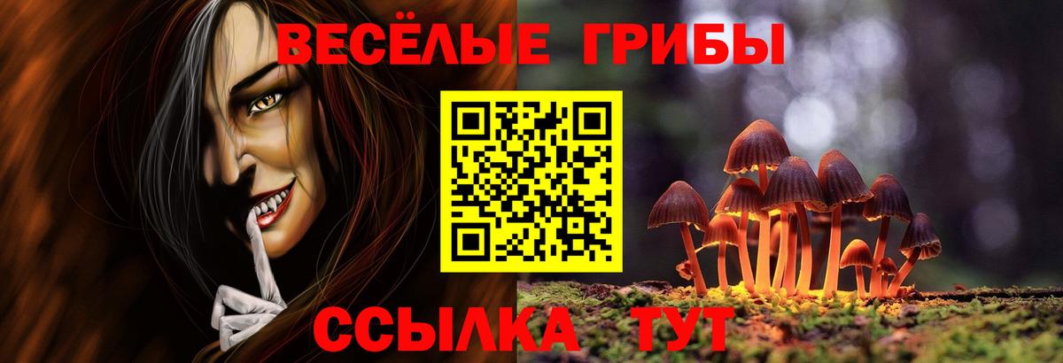 даркнет сайт  Псилоцибиновые грибы GOLDEN TEACHER  Вход с VPN  Александров  Галлюциногенные грибы мухоморы 
