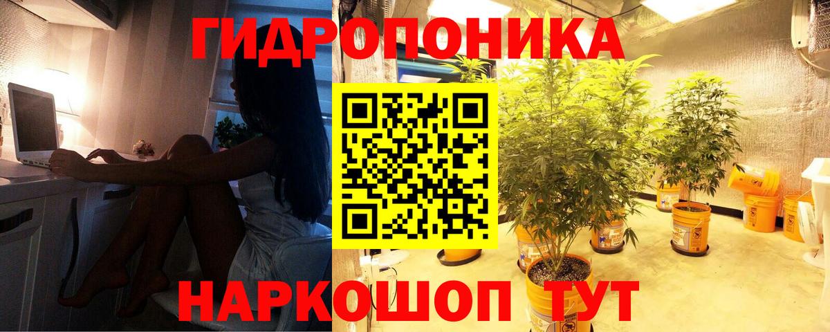 Канабис ГИДРОПОН Александров