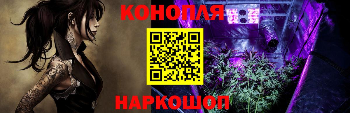 Конопля конопля  Бошки Шишки индика  Каннабис планчик  Конопля индика  Александров  Вход с VPN 